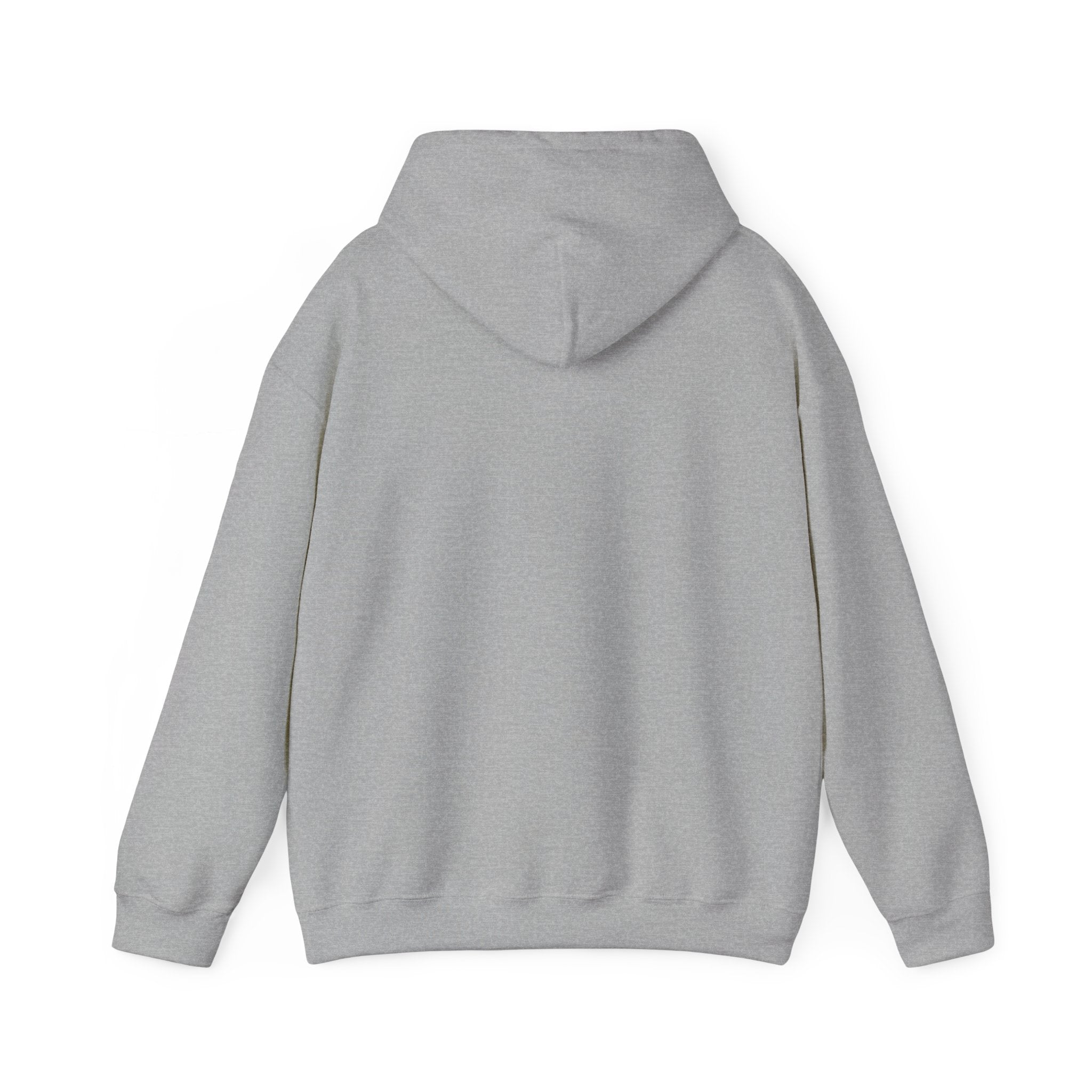 Disciplined & Grounded Hoodie — "Disciplined Grounded & Unmoved" Graphic Men Hoodie