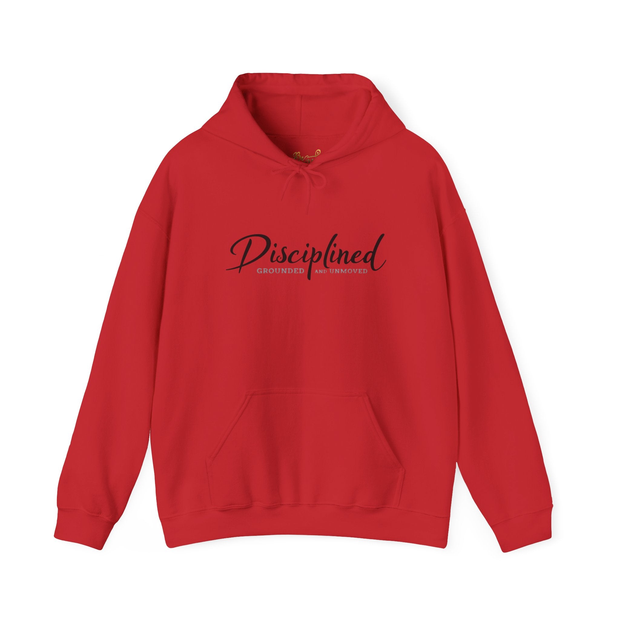 Disciplined Script Hoodie — Inspirational Minimalist Motivational Pullover
