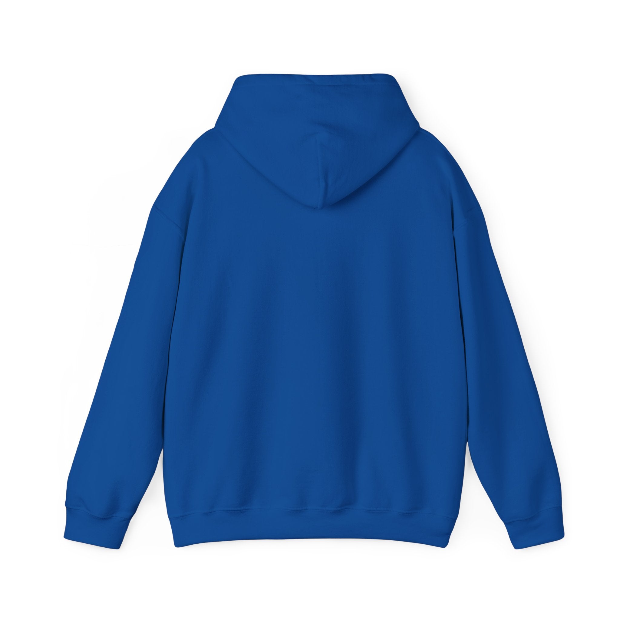 Disciplined & Grounded Hoodie — "Disciplined Grounded & Unmoved" Graphic Men Hoodie