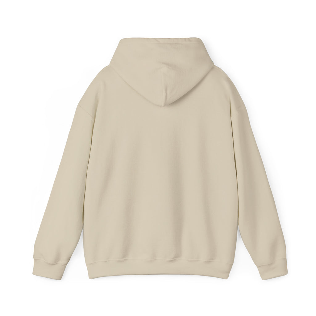 Disciplined & Grounded Hoodie — "Disciplined Grounded & Unmoved" Graphic Men Hoodie