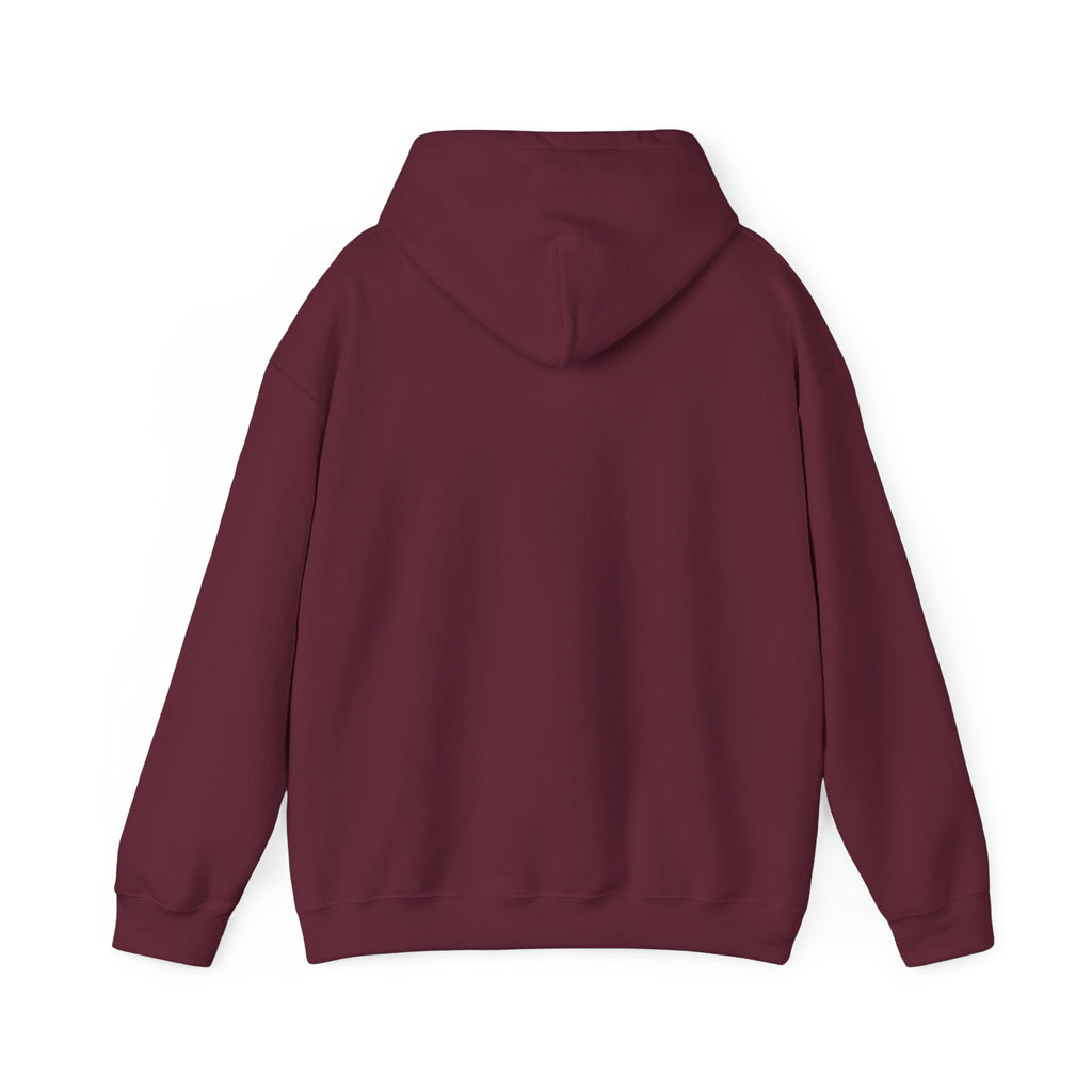 Disciplined & Grounded Hoodie — "Disciplined Grounded & Unmoved" Graphic Men Hoodie