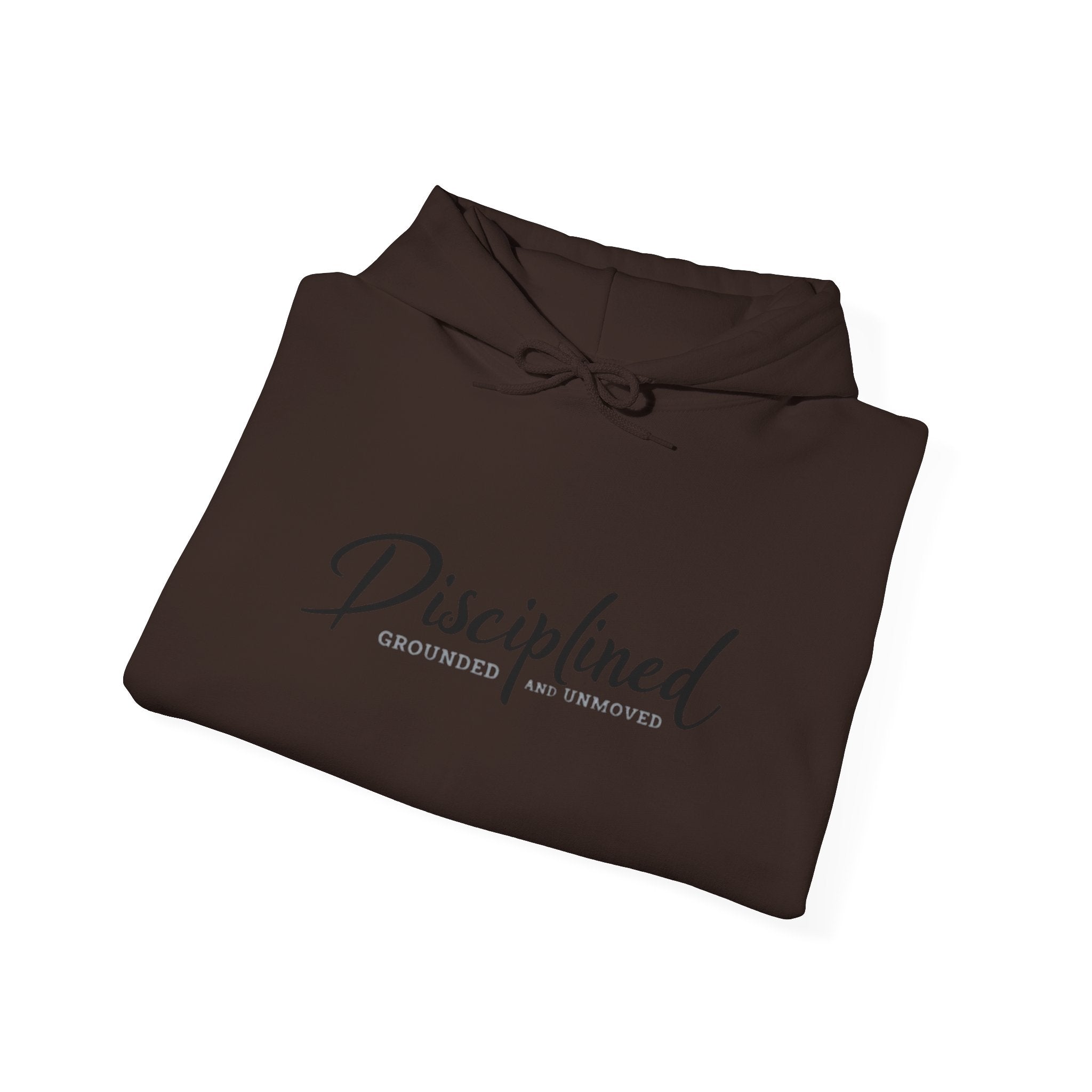 Disciplined Script Hoodie — Inspirational Minimalist Motivational Pullover