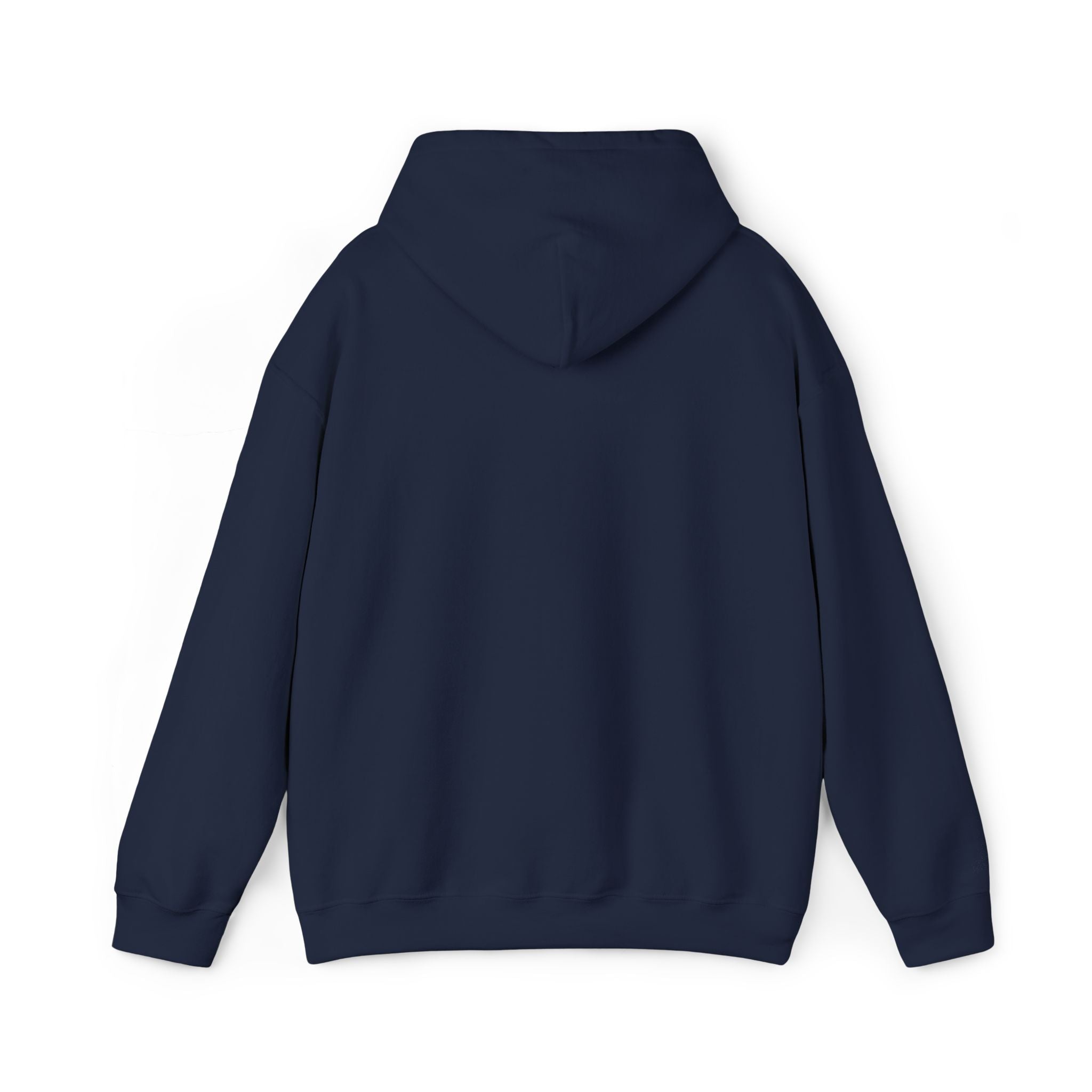 Disciplined & Grounded Hoodie — "Disciplined Grounded & Unmoved" Graphic Men Hoodie