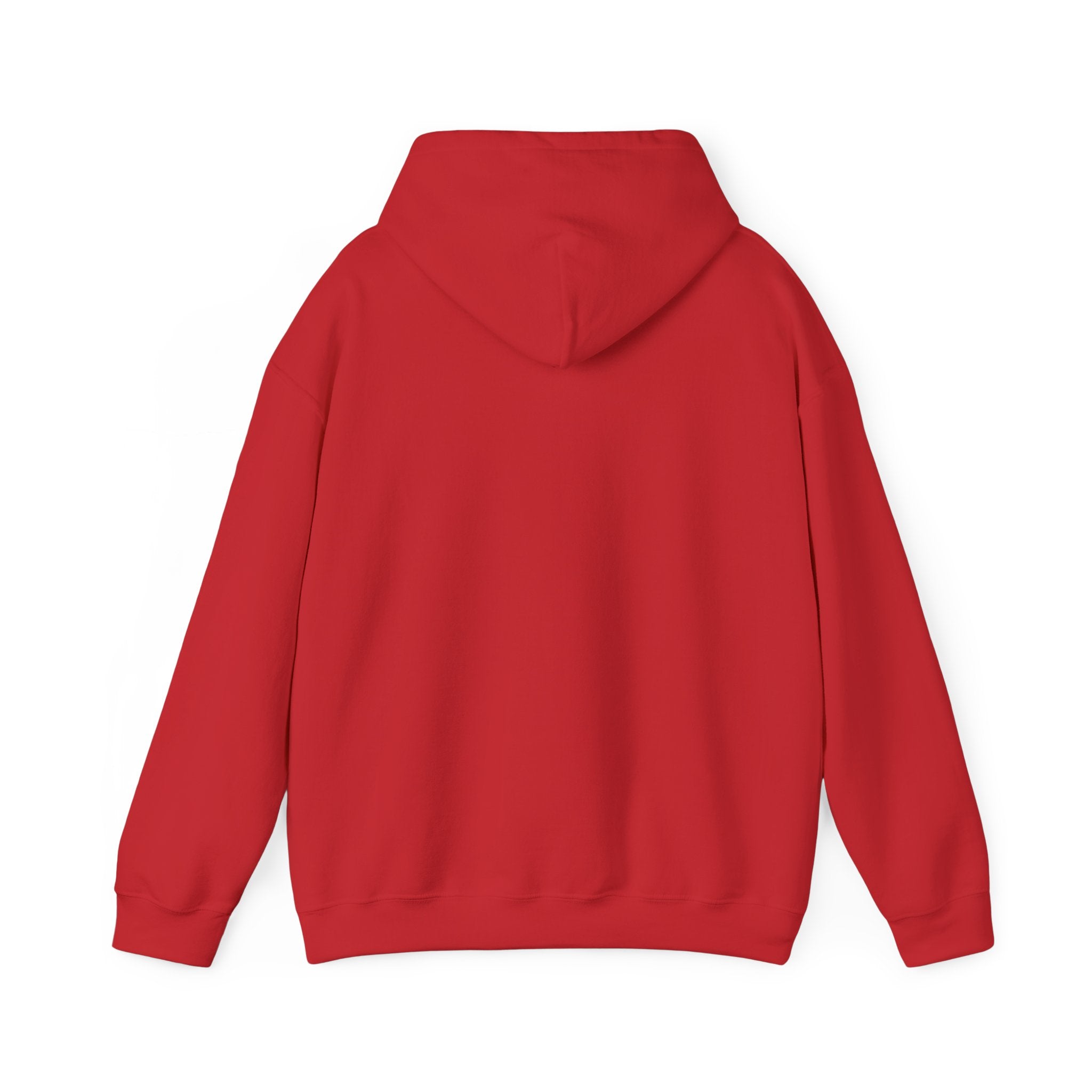 Disciplined Script Hoodie — Inspirational Minimalist Motivational Pullover