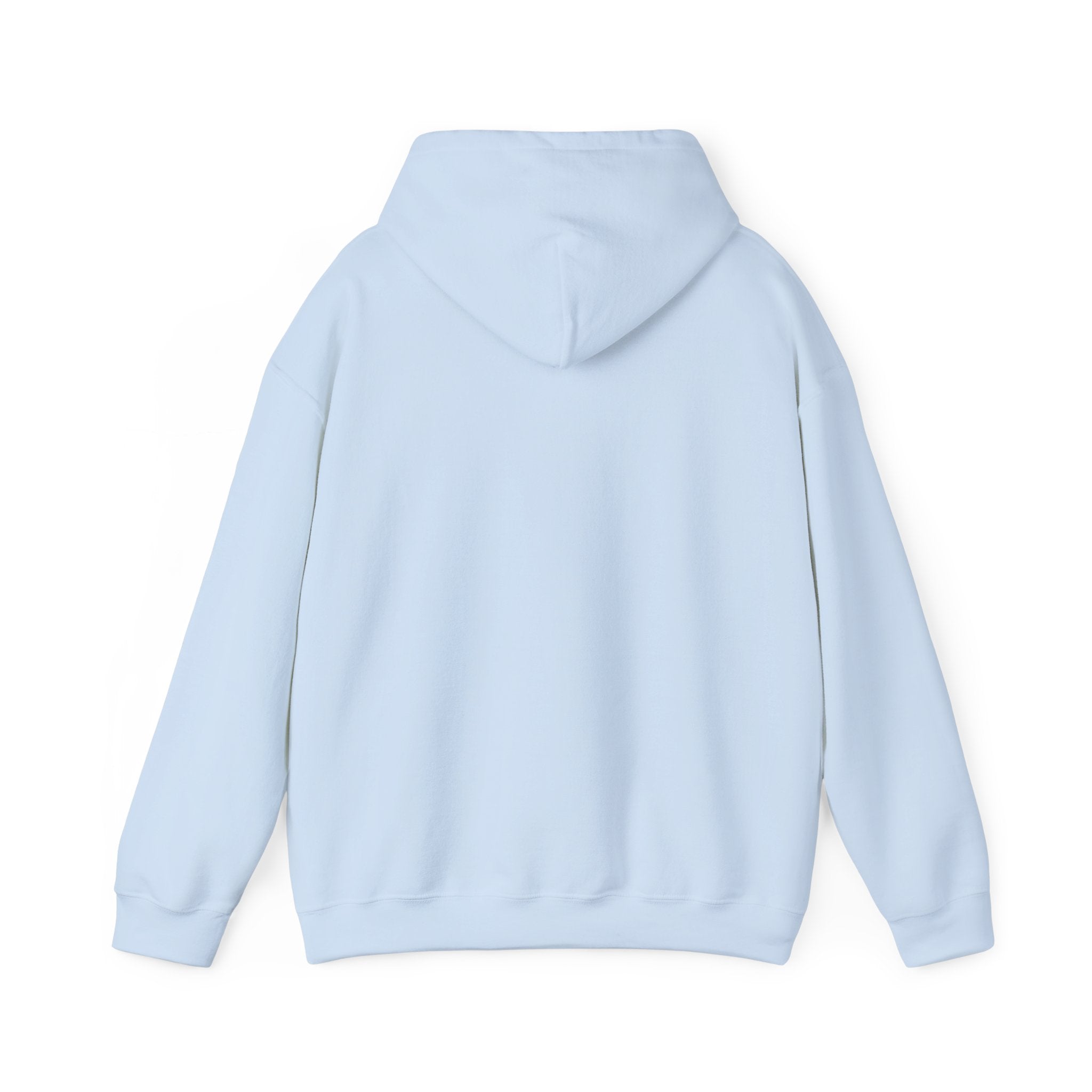 Disciplined & Grounded Hoodie — "Disciplined Grounded & Unmoved" Graphic Men Hoodie