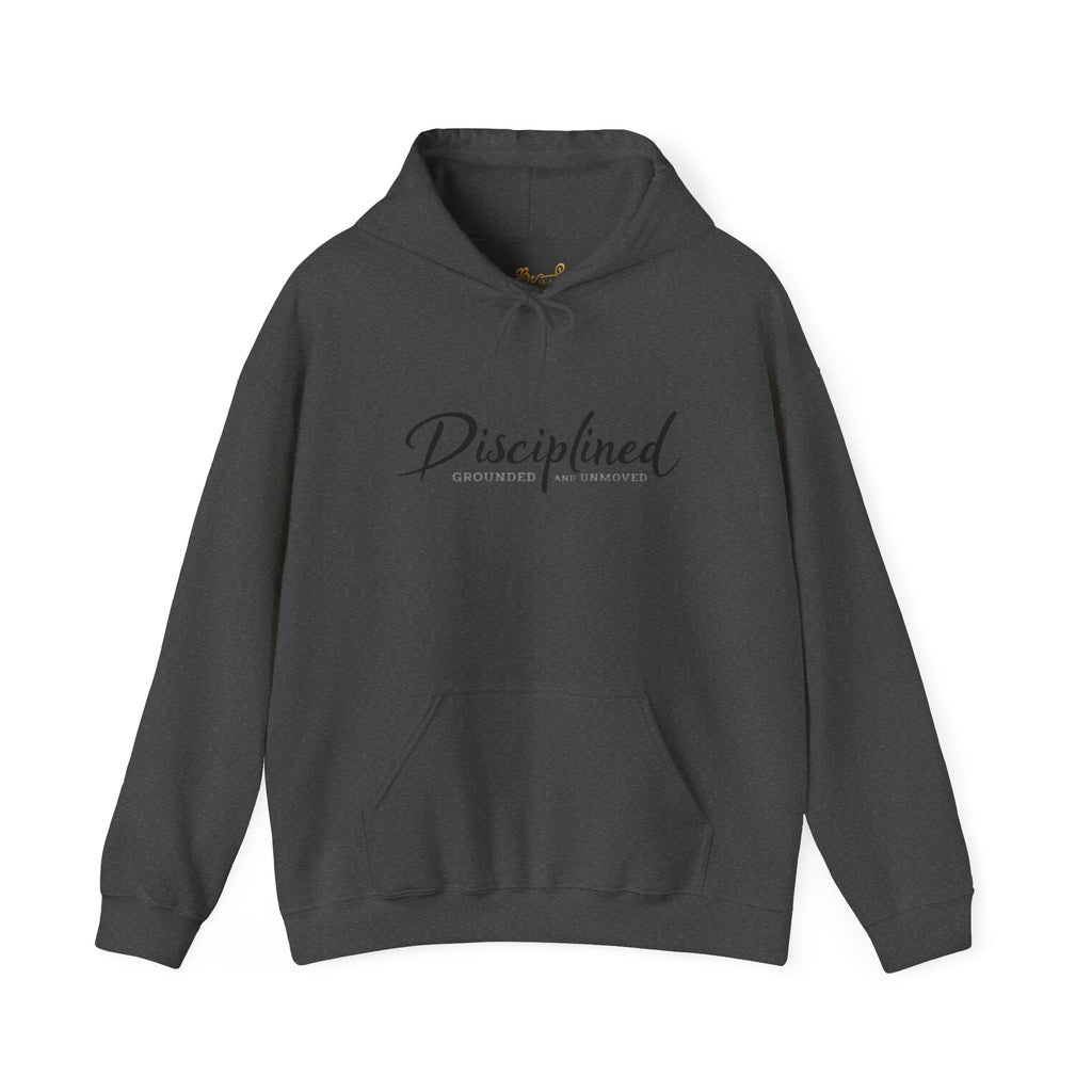 Disciplined Script Hoodie — Inspirational Minimalist Motivational Pullover